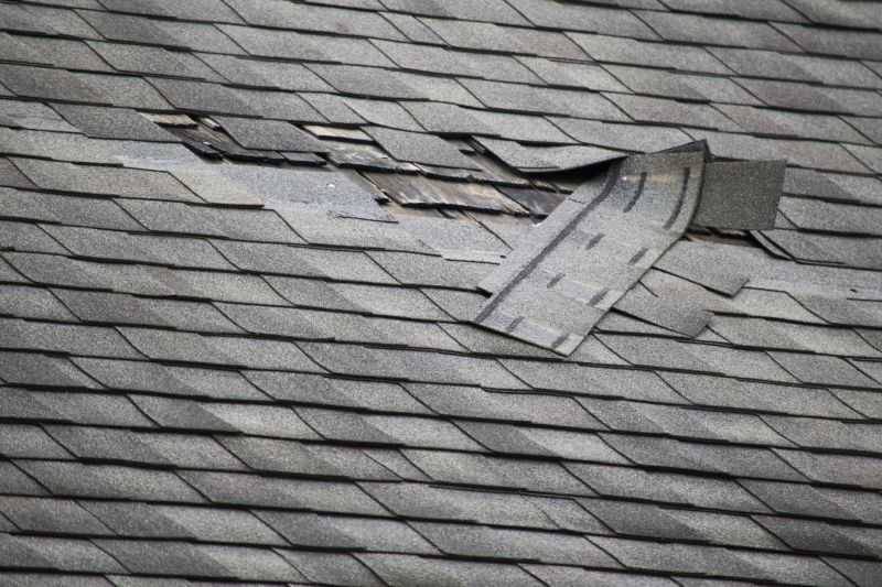 Roof Repairs